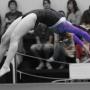 Kathleen Gannon Photo 36