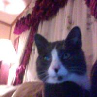 Maggie Baird Photo 7