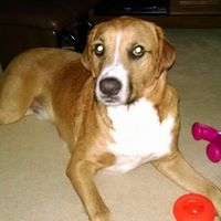 Julia Hoppe Photo 12