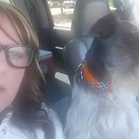 Traci Mccoy Photo 18