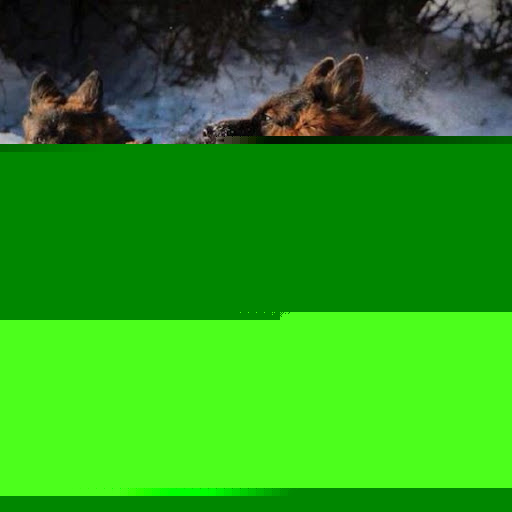 Beth Jenkins Photo 30