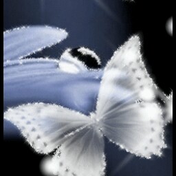 Catherine Devlin Photo 32