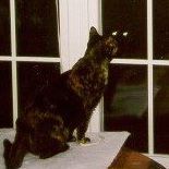 Julia Ashley Photo 12