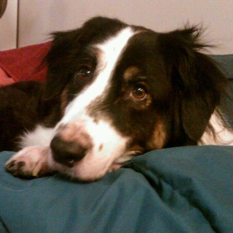 Catherine Varner Photo 5