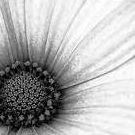 Julia Jacob Photo 31