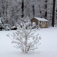 Maria Fitzpatrick Photo 26