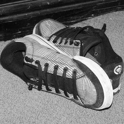 Sean Rogers Photo 26 Sean Rogers Photo 26