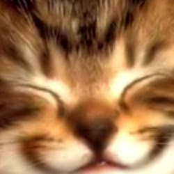 Janice Warner Photo 25