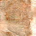 Laura Patton Photo 37