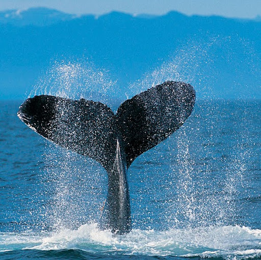 Randy Keiser Photo 2