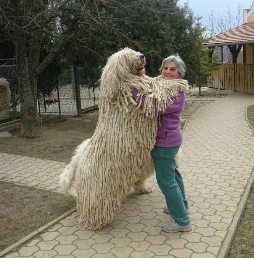 Sandra Cooper Photo 16 Sandra Cooper Photo 16