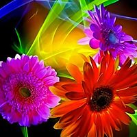 Debra Redding Photo 11