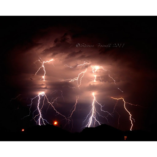 Steven Howell Photo 16