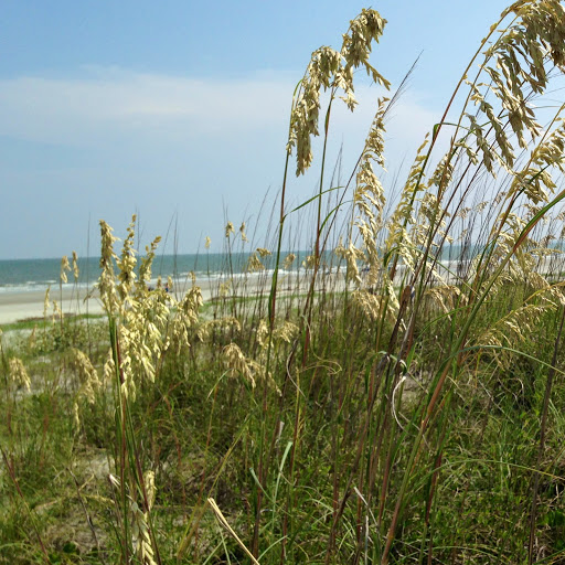 Joseph Barber Photo 16