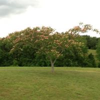 Charlene Warren Photo 16