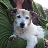 Julia Foote Photo 21