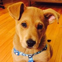 Jennifer Durbin Photo 17