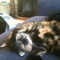 Olive Marie Photo 3
