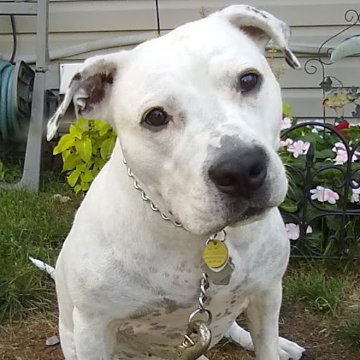 Shelly Anderson Photo 28