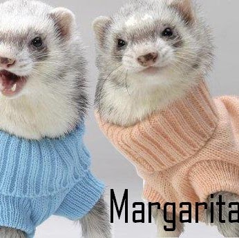 Margarita Robles Photo 41