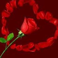 Cindy Angulo Photo 22