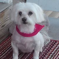 April Lowry Photo 16