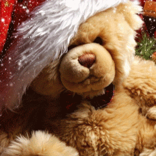 Christine Phillips Photo 44