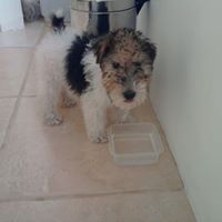 Christina Gross Photo 13