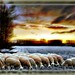 Dawn Campos Photo 18