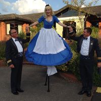 Robert Westerberg Photo 5