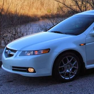 Adam Schneider Photo 45 Adam Schneider Photo 45