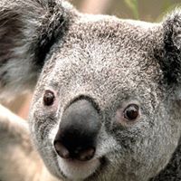 Charles Schultz Photo 32