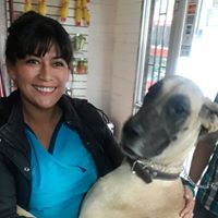 Andrea Reyes Photo 27