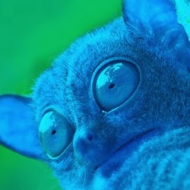 Ellen Hendrix Photo 8