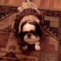 Ellen Rogers Photo 7