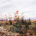 Walter Andrews Photo 30