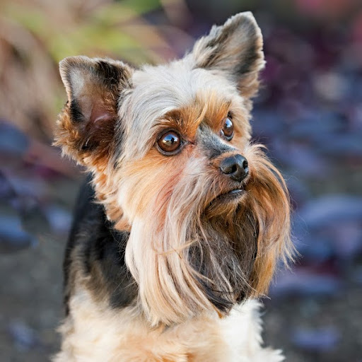 Chris Samuelson Photo 16