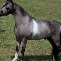 Kim Audet Photo 7