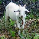 Donna Franks Photo 36