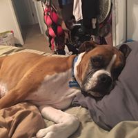 Bobby Marshall Photo 30