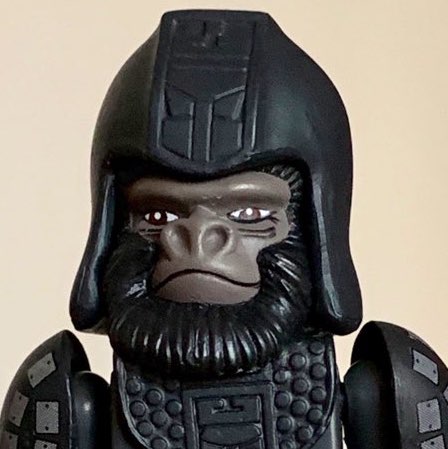 David Doherty Photo 17