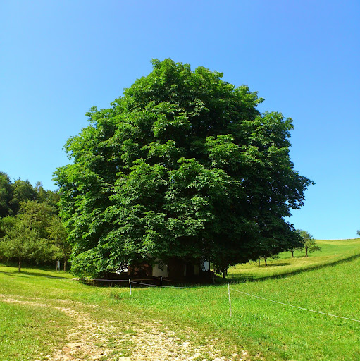 Benjamin Bader Photo 12