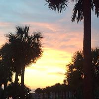 Jeannie Wood Photo 38