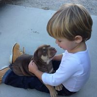 Kevin Mclain Photo 20