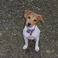 Renee Nicholas Photo 14