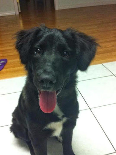 Keith Kramer Photo 7