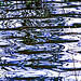 Elizabeth Ripple Photo 10