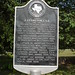 Cynthia Parker Photo 9