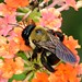 Sue Carpenter Photo 11