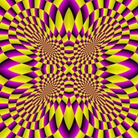 Summer Warner Photo 13